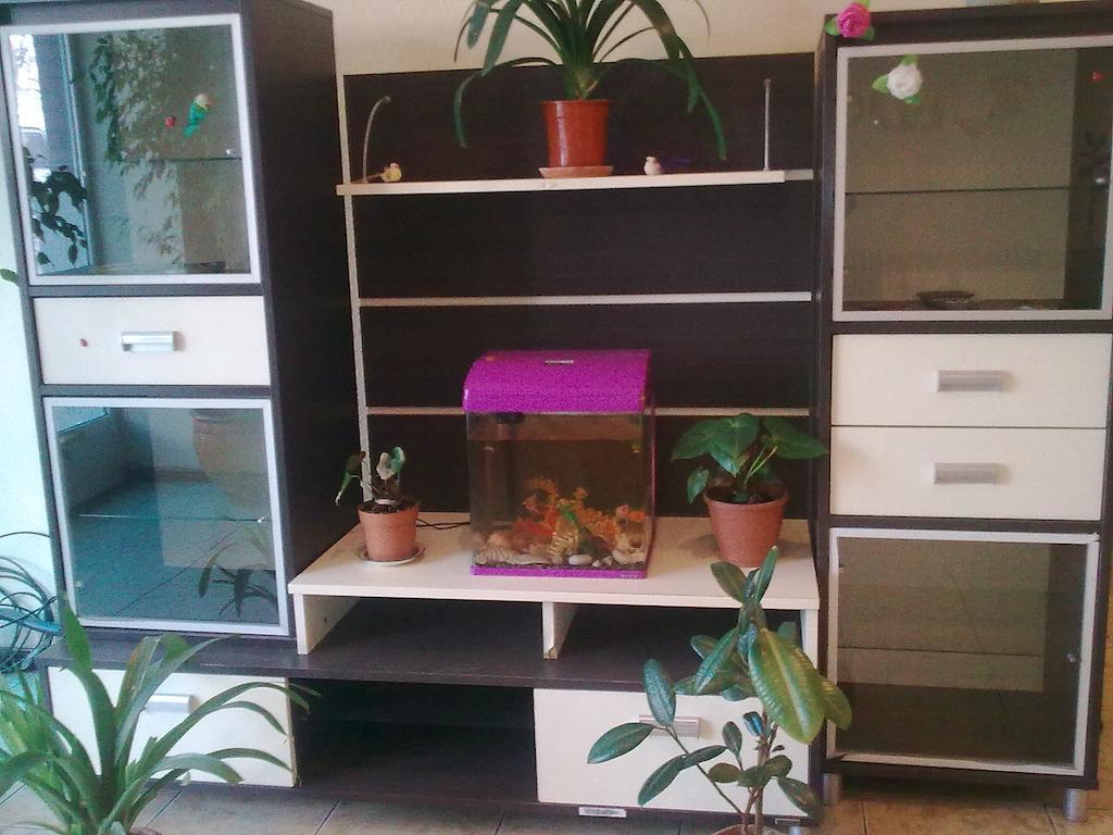 Hostel Raddus-Jss Tasjkent Buitenkant foto